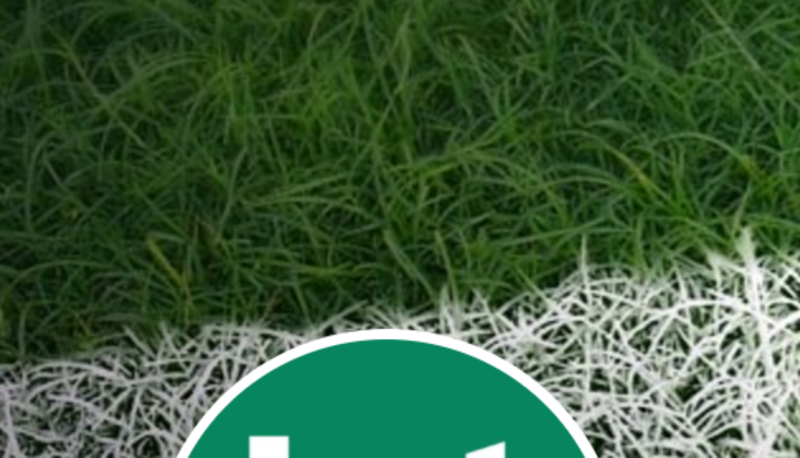 bet365