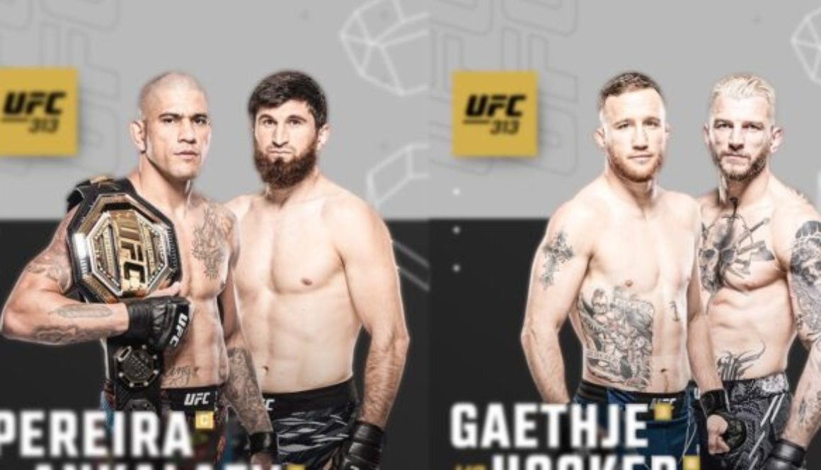 UFC 313